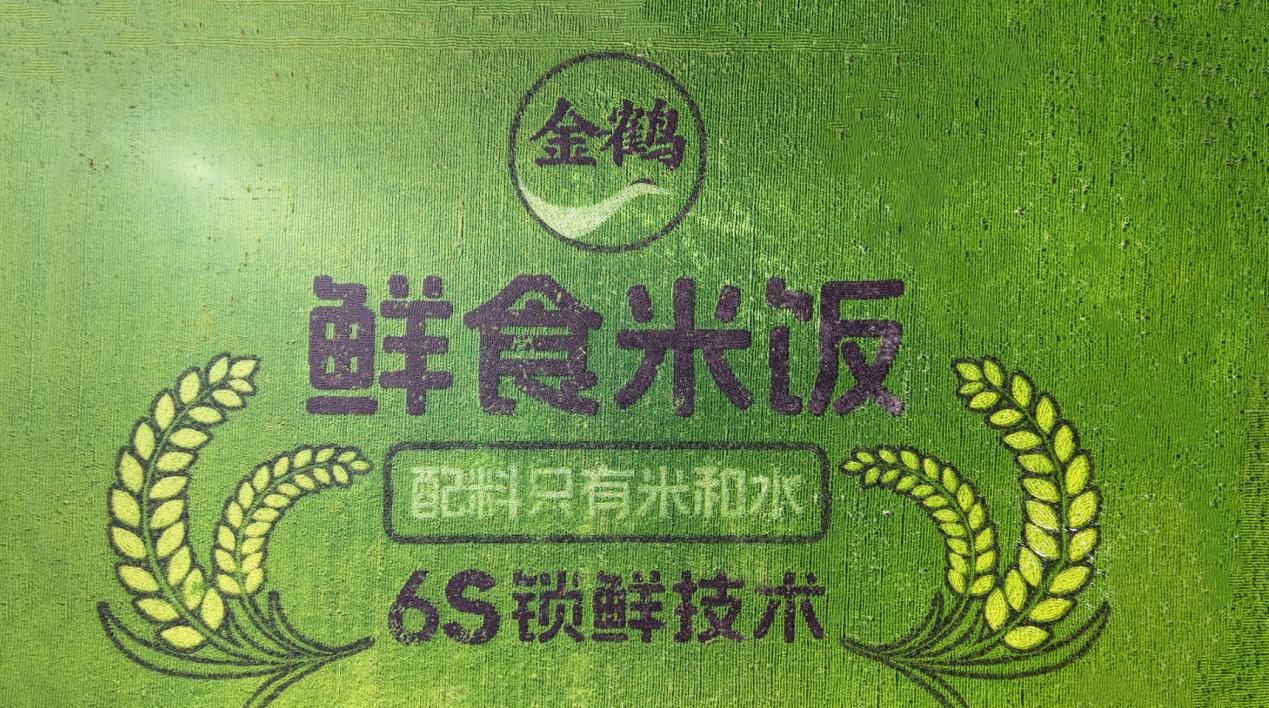 金鹤11.jpg 潮起琶洲,粮通四海|金鹤农业亮相第 140 届广交会,以全链匠心擘画(图1)